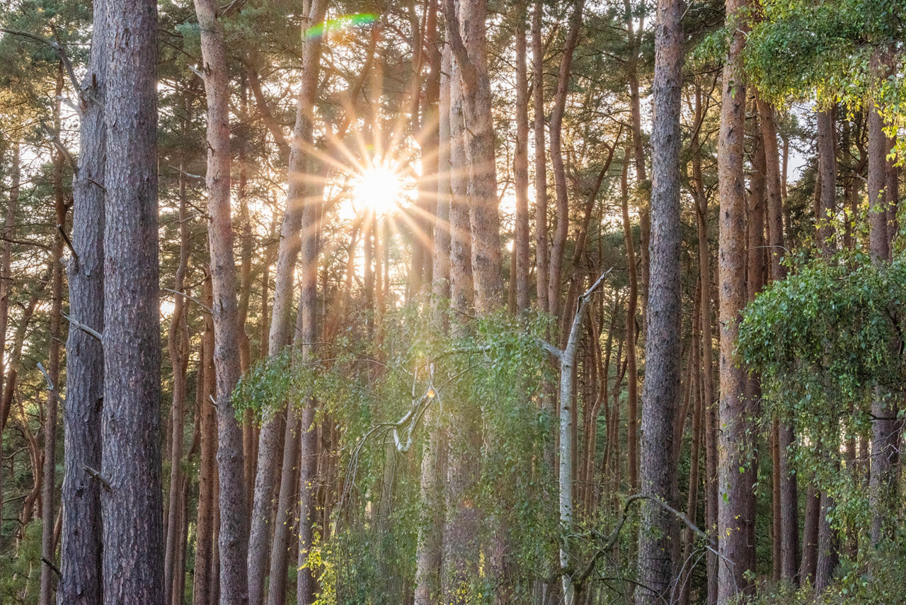 A family in the indoor swimming pool.